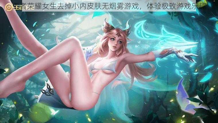 王者荣耀女生去掉小内皮肤无烟雾游戏,体验极致游戏乐趣