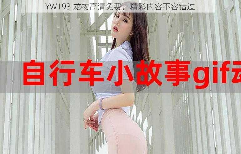 YW193 龙物高清免费,精彩内容不容错过