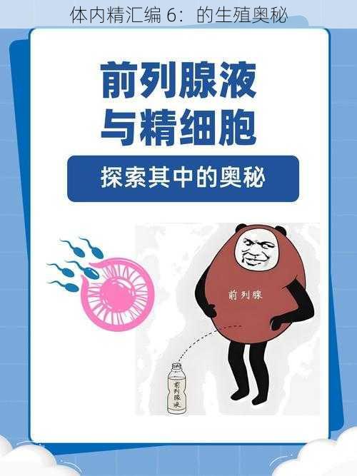 体内精汇编 6:的生殖奥秘